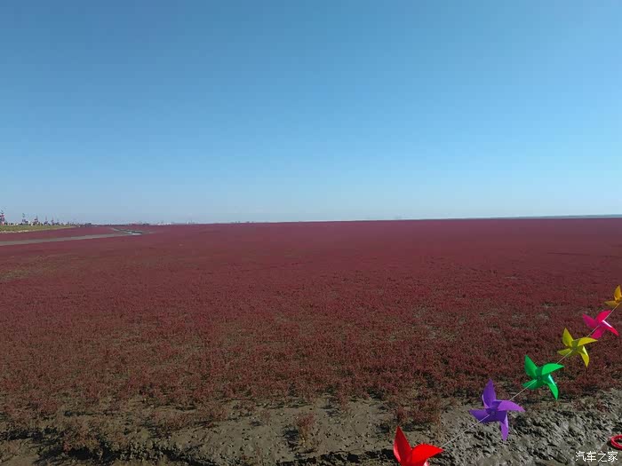 【图】车友们摩托车科目四什么?