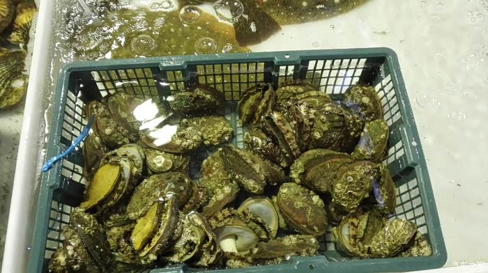 海鲜采购合同范本大全_海鲜烧烤_海鲜采购