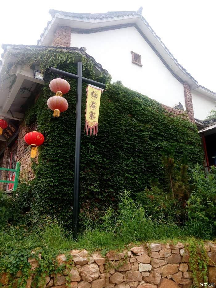 沂南县王家独树人口_沂南县人民医院(3)