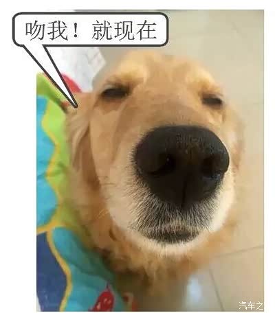 4个小时还是12个小时?饮酒后到底多久才能开