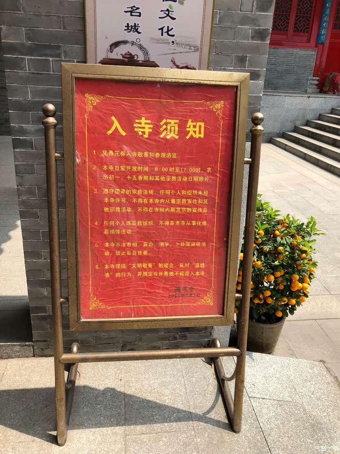 踏春征文他乡遇故知喜悦难以言表愚人节之新兴国恩寺