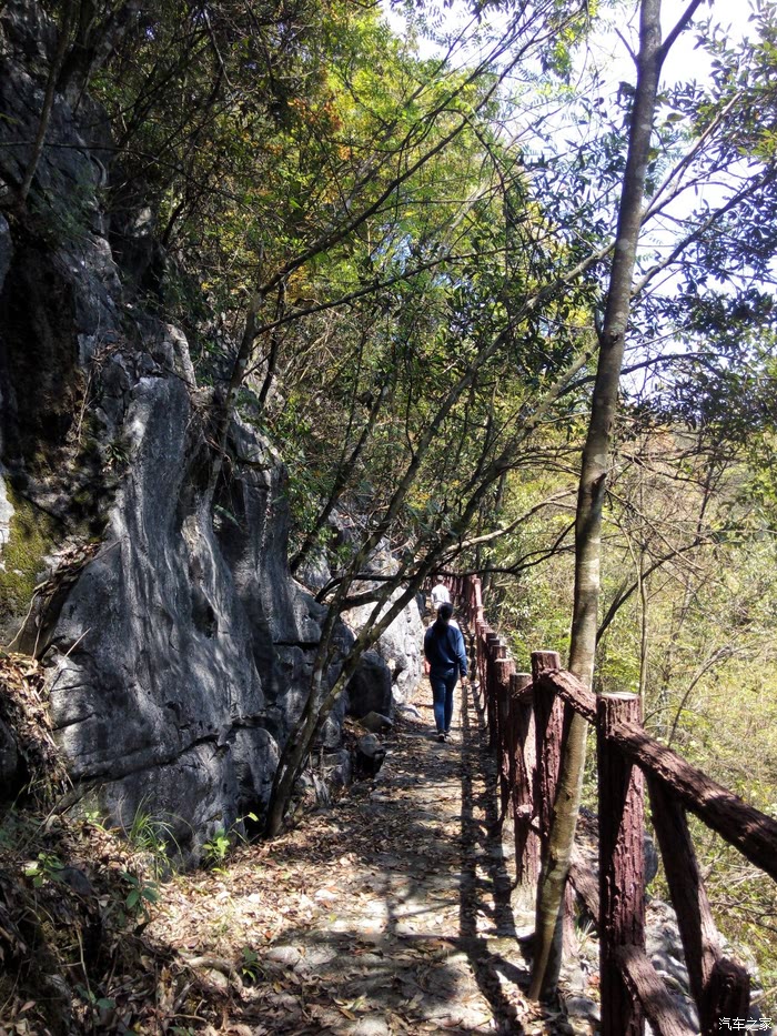 游广西天峨龙滩大峡谷国家森林公园