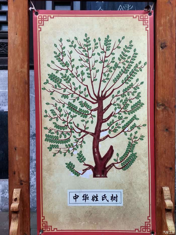 中华姓氏树