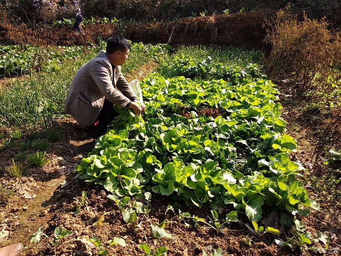 什么是生活的良药 500_ChcCL1pbHPSASDEcAAxKEdK4Jd4558.jpg