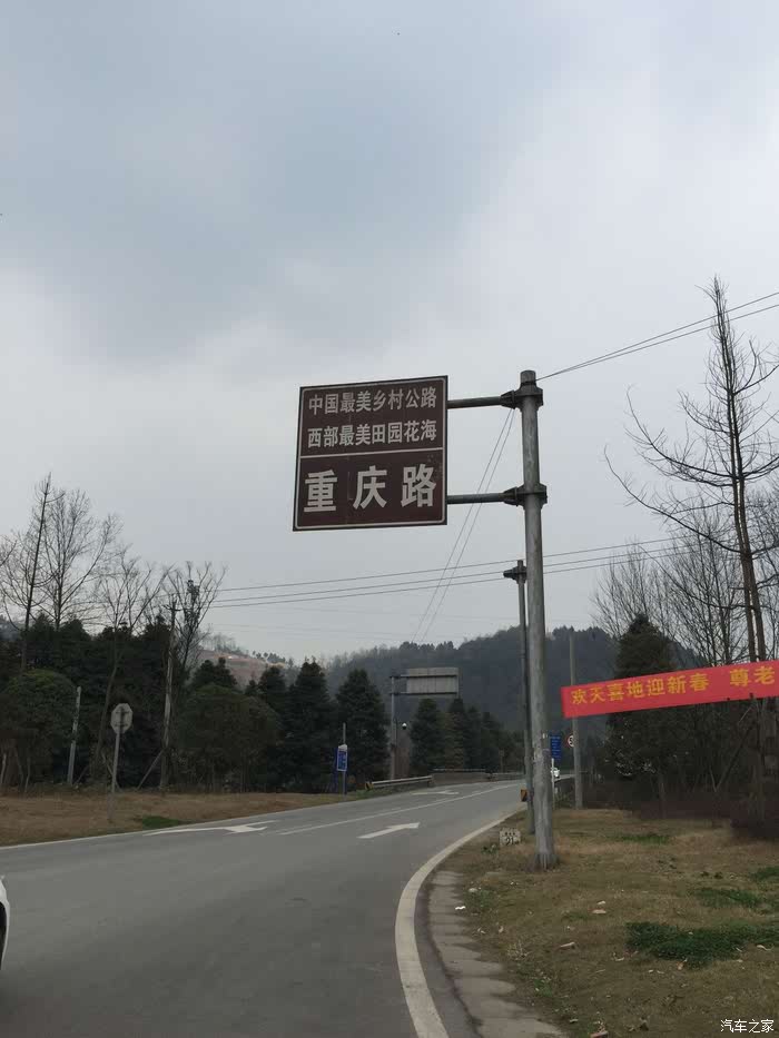 油菜花美了崇州重庆路
