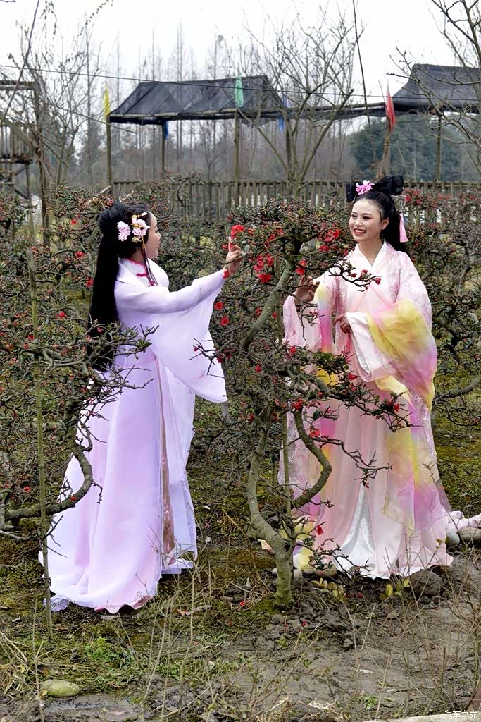 安龙婚纱店_安龙红油剪粉图片(2)