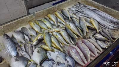 【陕西CS75车友会】651、探秘昆明海鲜市场