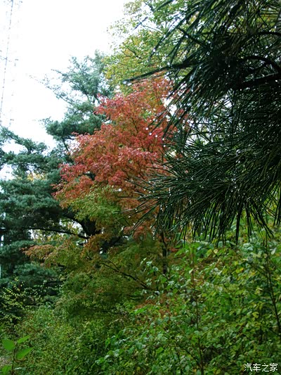 刮风打雷,下雨下雪下雹子,吊水壶一日游_黑龙