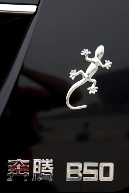 壁虎漫步《吉利哈》同学们知道这是什么么：呵呵，不卖馆子：琉璃《一龙