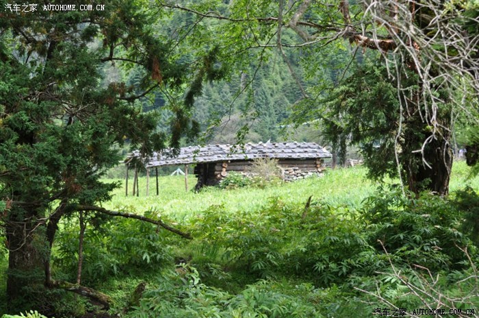 【图】问一下大家。你们保养是不是每5000就