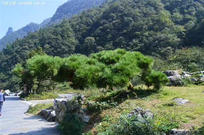 --万盛黑山谷、龙鳞石海一日游_重庆论坛