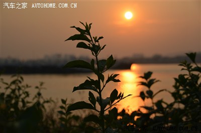 清爽秋日周末去番禺石楼的海鸥岛去逛了逛吹江