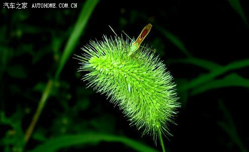 「摄影穷三代,单反毁一生」?