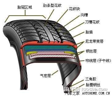 轮胎结构图