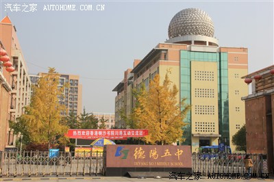 德阳五中里的银杏树