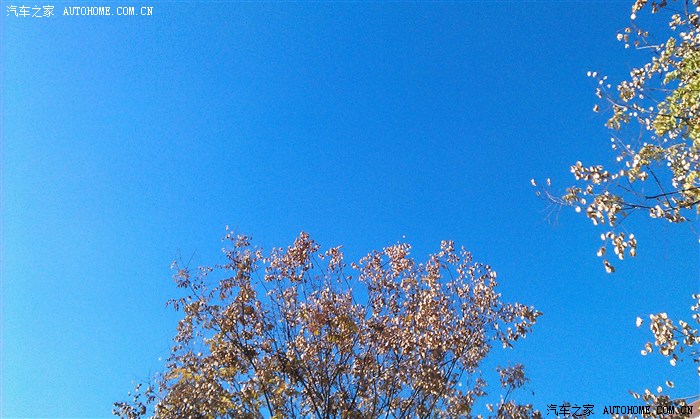 啥时候下大雪几月几日 500_0062_adfe5817_adfe5817.jpg