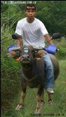 【图】今天看见明哥出门 换车了,直接上图了_