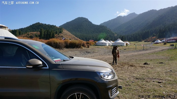 【图】明天要下中雪了,分享下新疆夏末的景色