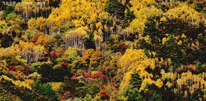 【图】四川理县毕棚沟(米亚罗红叶风景区)旅游攻略_自驾游论坛_汽车之家论坛