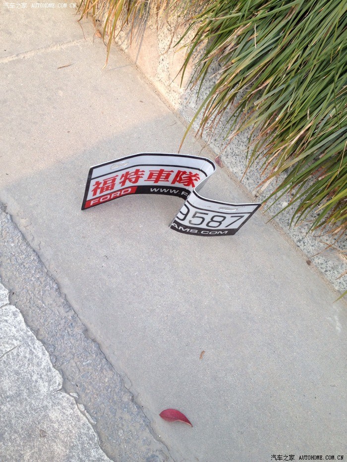 【图】徐州福克斯车友聚会_江苏论坛_汽车之