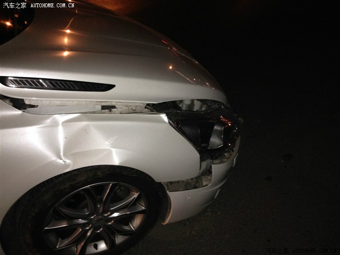 【图】圣诞节上演惊魂大片,狮子把神车帕萨特