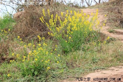 【美丽四川】春天在哪里?