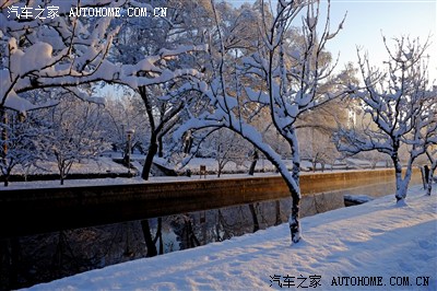 【自由行--京城三月雪】 瑞雪降 迎春开 拍下美