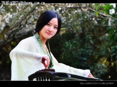 美女伴着梅花弹古筝,如诗如画!很有意境!