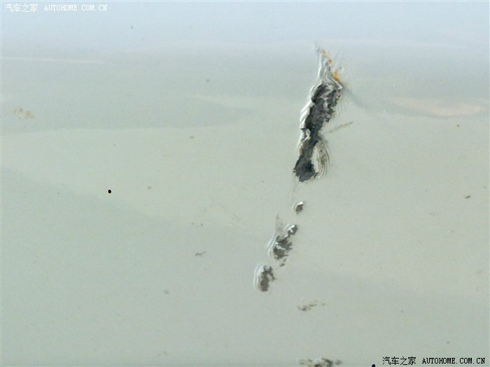 【图】擦破皮了。新手求教如何处理好些_索纳