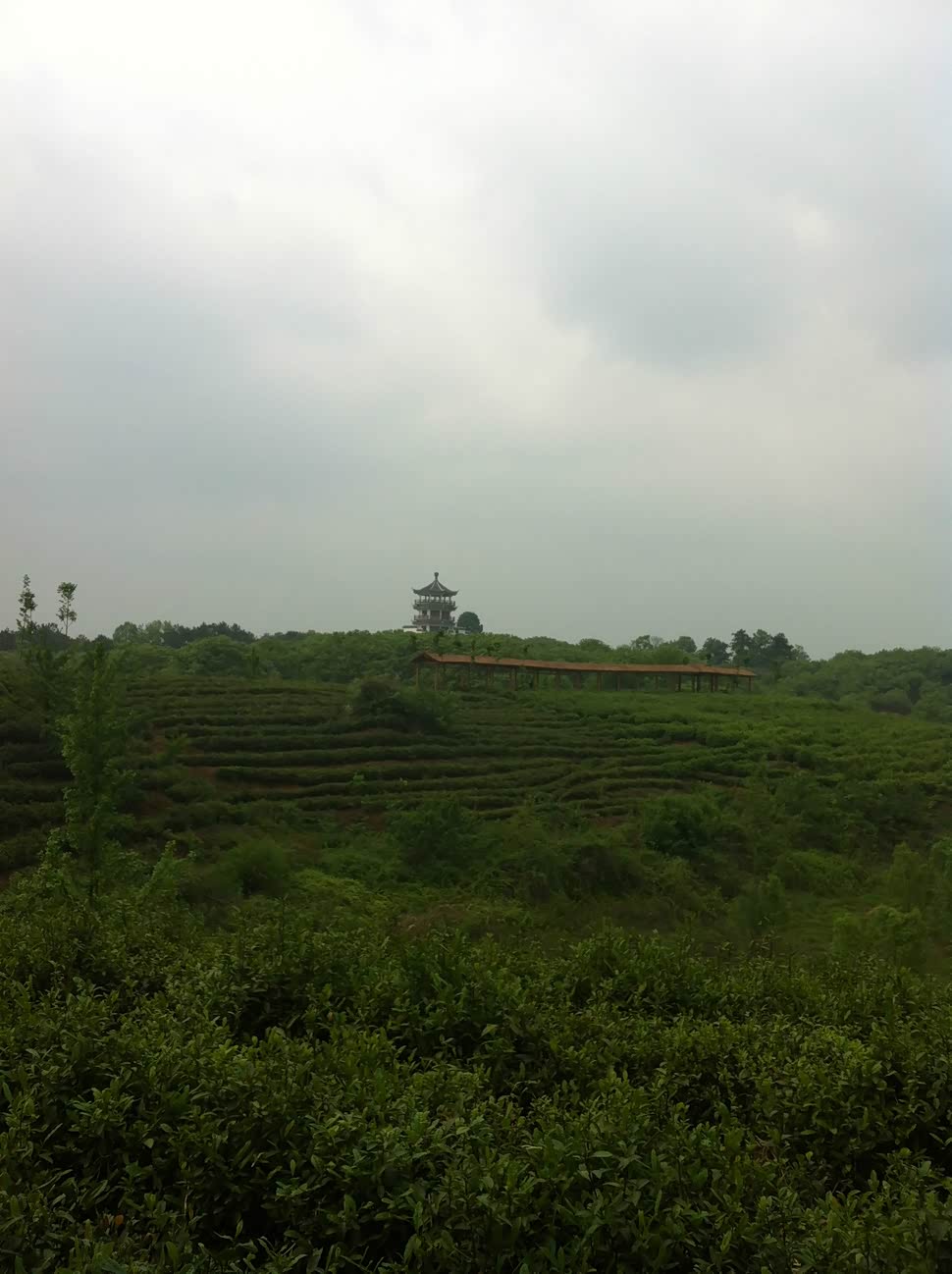 中国茶都-信阳游记