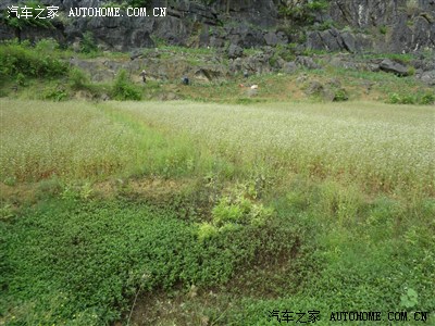 31,猫妈在跟村民买荠麦面,10元1袋约1斤装,猫妈送了些米花糖给村民,15