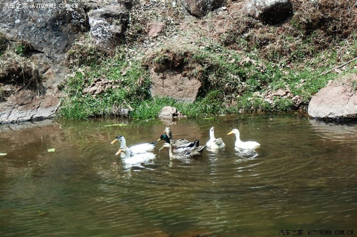 2013清明云南武定游(水城河,热水塘露营泡温泉,己衣大裂谷)