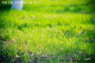 长春北湖湿地公园自驾游