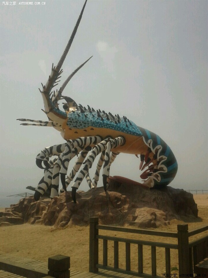 【图】昨天下午在浏河海滩看到一只特大龙虾