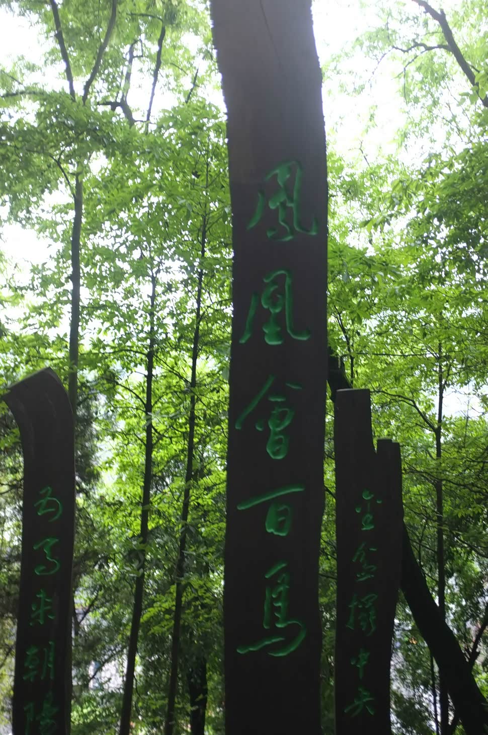 风雨无阻畅游凤凰古城，再谈凯则西之长与短