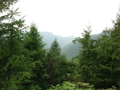辽阳核伙沟国家森林公园哪山哪水哪车哪人,贼