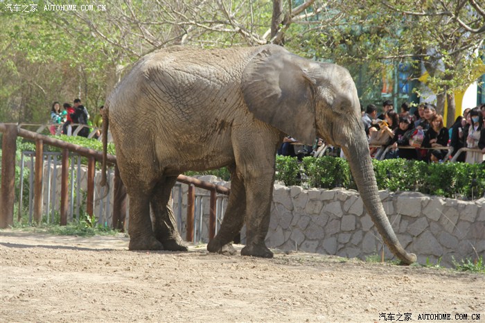 【图】五一北京两日亲子游_河南论坛_汽车之