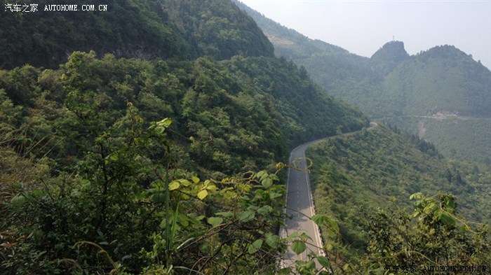 【图】重庆有这么一个地方 平均海拔1556.最高