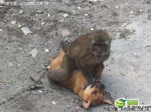 【图】今天星期五呀 明天不上班呀 晚上尽情的.累了也不用早起_广东论坛_汽车之家论坛