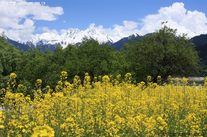 【图】六月中旬准备再次自驾进藏,求建议!