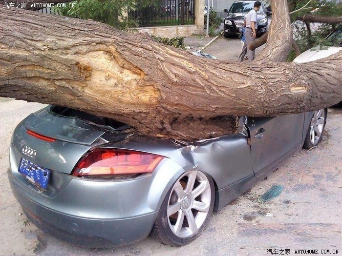 【图】又一辆四环素的超跑被狂风吹倒的无根树