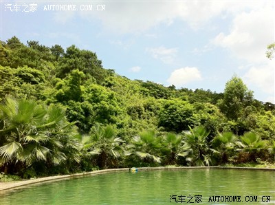 周末闲情之农趣【高明茶山&火龙果园】新增盈香生态园