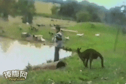 蛮牛妹子:挂档习惯要改哈.