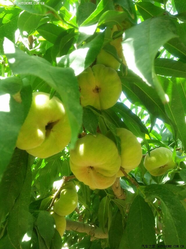 【图】库尔勒-西藏自驾游--<em>兄弟姐妹</em>3家庭<em>亲情</em>