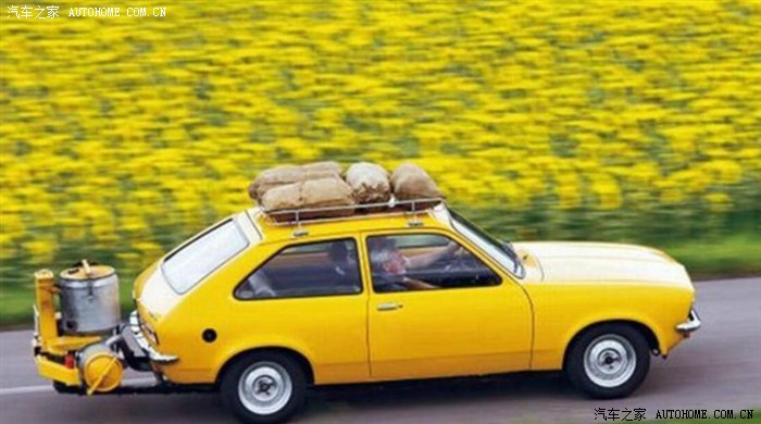 汽油涨价算个毛,哥准备烧柴!