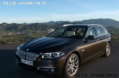 【图】有定巴西棕颜色的吗?_宝马5系论坛