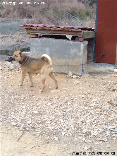 弄个农村合作社,政府有补贴,政府对农村的惠民