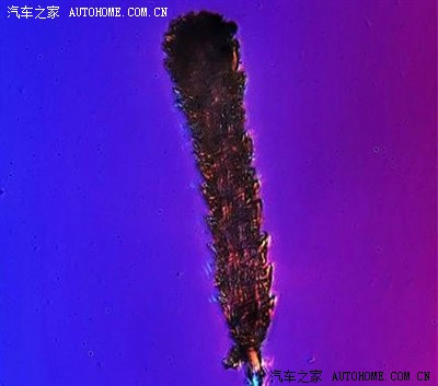 看看雾霾是个啥模样!_雪铁龙C5论坛