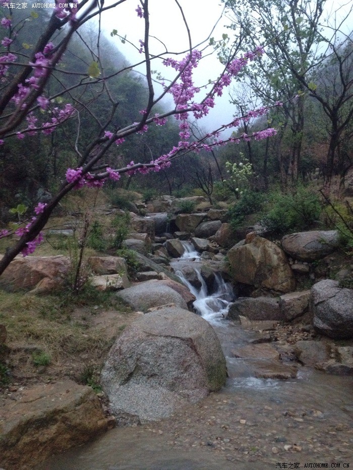 南昌湾里梅岭樱花谷探幽