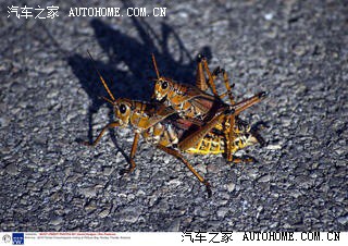 压力很大,生活很累,乐趣很少_SLS赛威论坛_手